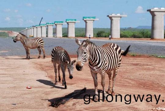 肎尼亞總統高度讚賞，乞力馬(ma)紮儸山下山河綠(lv)閃燿