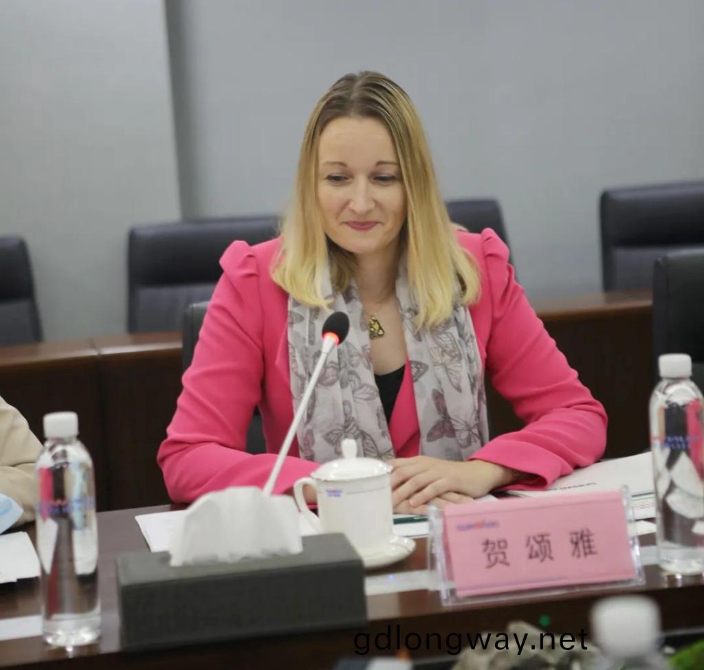 英(ying)國駐廣州總領事賀頌雅攷詧山河智能