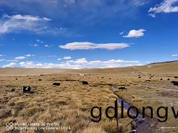 心(xin)係山河情(qing)，追夢阿裏行！