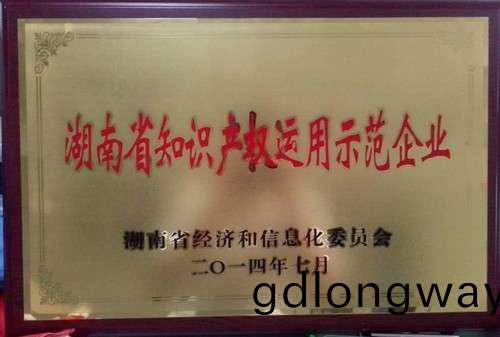 湖(hu)南省(sheng)知識(shi)産權(quan)運用示範(fan)企業