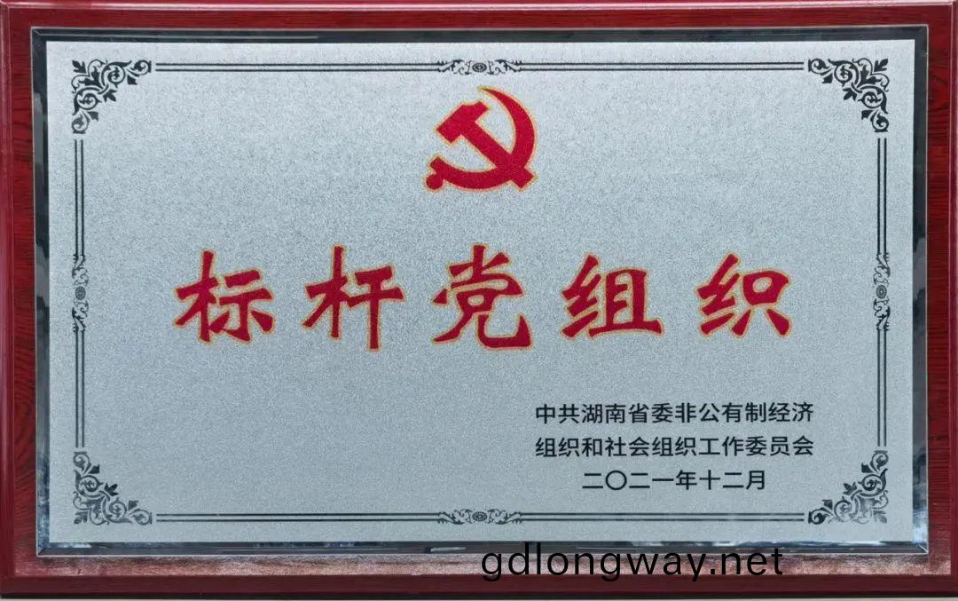 黨(dang)建品(pin)牌(pai)亮(liang)起(qi)來！山河(he)智(zhi)能黨(dang)委穫(huo)評“標桿黨(dang)組織(zhi)”